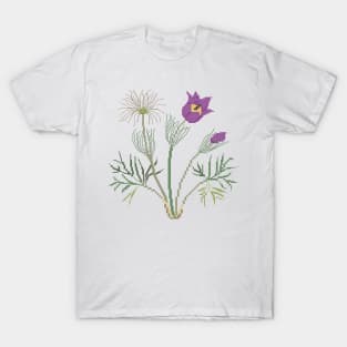South Dakota State Flower Pasqueflower T-Shirt